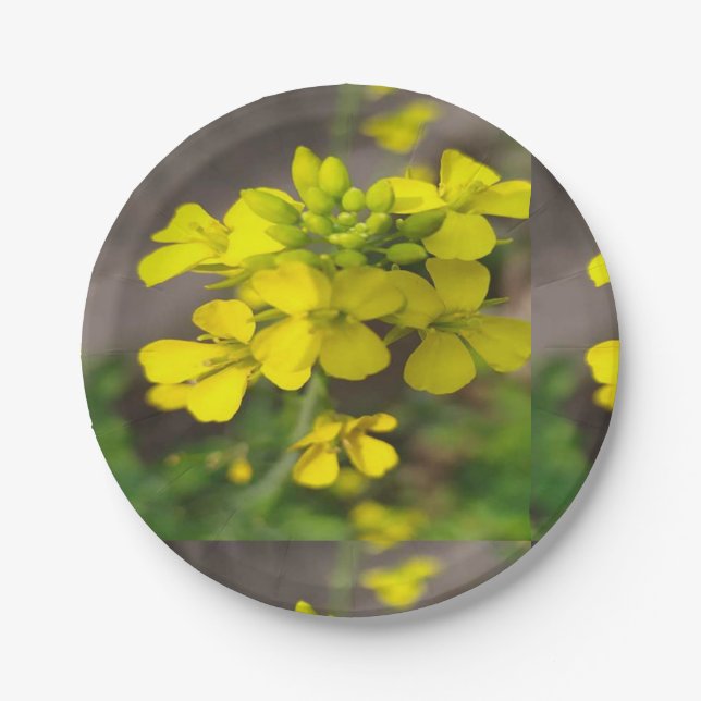 7" Rundpapierplatte mit gelber Blume Pappteller (Vorderseite)