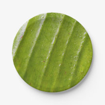 7" Rundpapierplatte mit reinem Bananenblatt