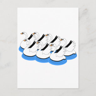 7 Schwäne Schwimmen Postkarte