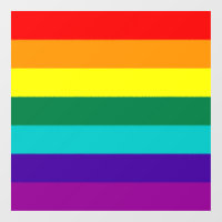 7 Streifen Regenbogen-Stolz 