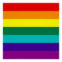 7 Streifen Regenbogen-Stolz