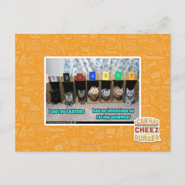 7 vor 7 Kätzchen Postkarte (Vorderseite)