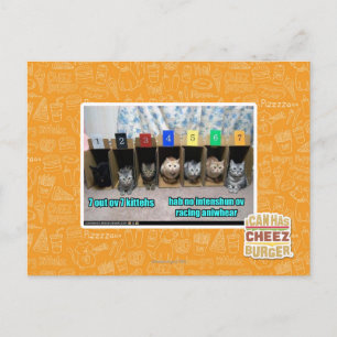 7 vor 7 Kätzchen Postkarte