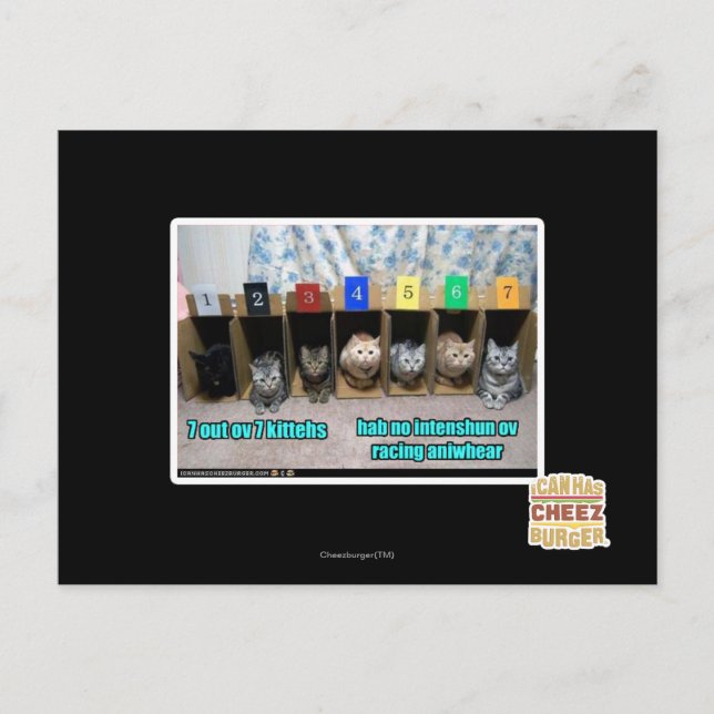 7 vor 7 Kätzchen Postkarte (Vorderseite)