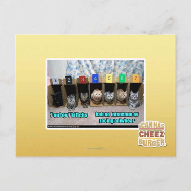 7 vor 7 Kätzchen Postkarte (Vorderseite)