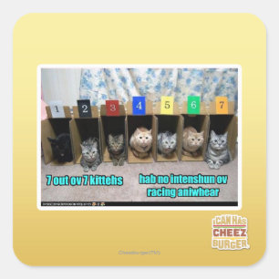 7 vor 7 Kätzchen Quadratischer Aufkleber