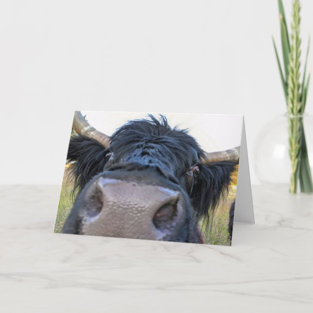 7"x5" Faltkarte | Banana Peel Cow Karte (Vorderseite)