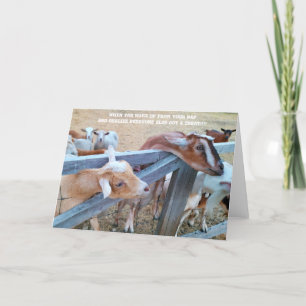 7"x5" Faltkarte   Hey-Hay! Wo ist meine? Karte