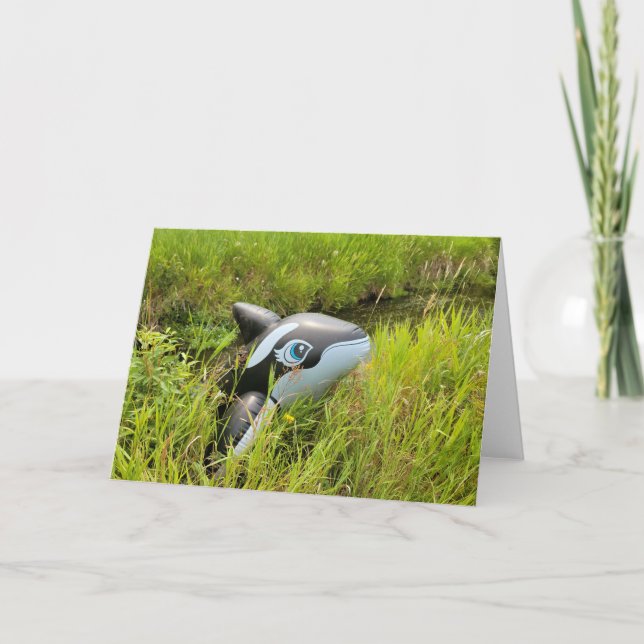 7"x5" Folded Card || Sage Creek Orca Karte (Vorderseite)