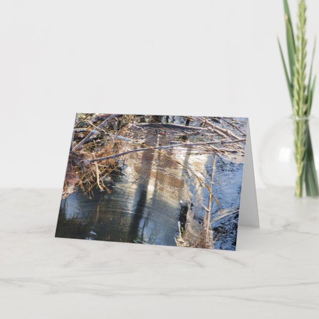 7"x5" Folgekarte Karte| | Pollen - Pollen - Scale Karte (Vorderseite)