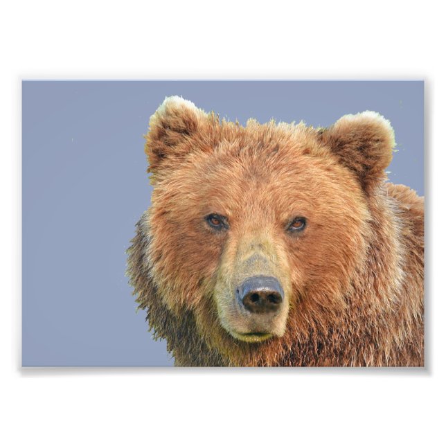 7 x 5 Kodak Berufliches Foto Papier (Satin) (Vorne)