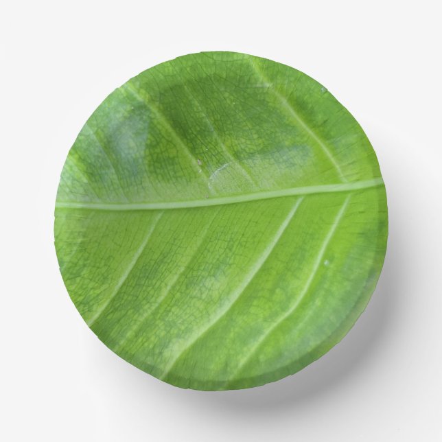 7-Zoll-Papierschale mit verzaubertem grünem Blatt Pappteller (Vorderseite)