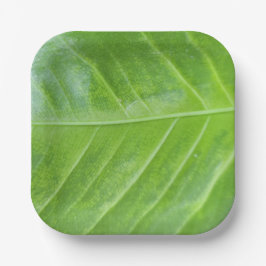 7-Zoll-Papiertafel mit bezauberndem Grün Pappteller