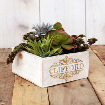 7x7 Box Weißwaschgras Holzplanter