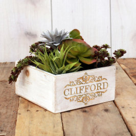 7x7 Box Weißwaschgras Holzplanter