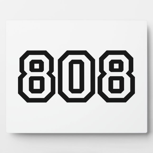 808 FOTOPLATTE (Vorderseite)
