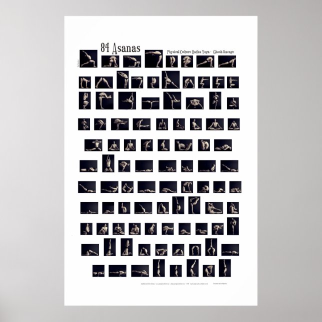 84 Asanas-Poster Poster (Vorne)