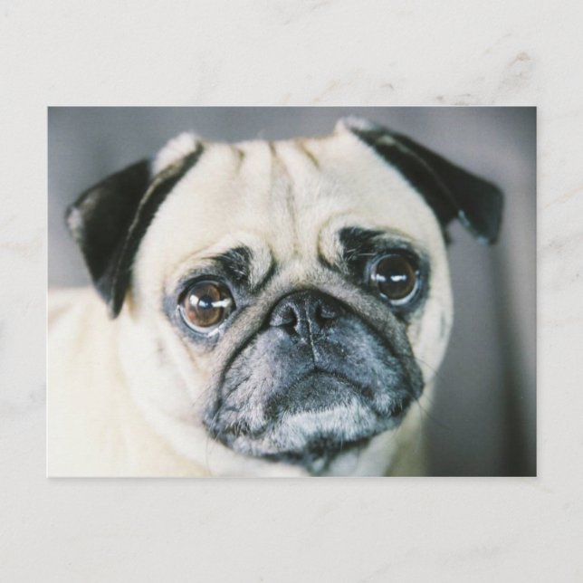 850203-R1-017-7 POSTKARTE (Vorderseite)