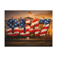 8647: Kühner Amerikanischer Widerstand