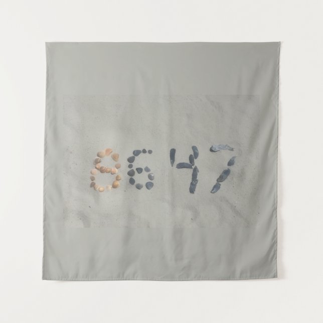 8647 WANDTEPPICH (Vorderseite)