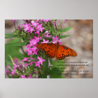 8.06.31, 32 con Mariposa Gulf Fritillary
