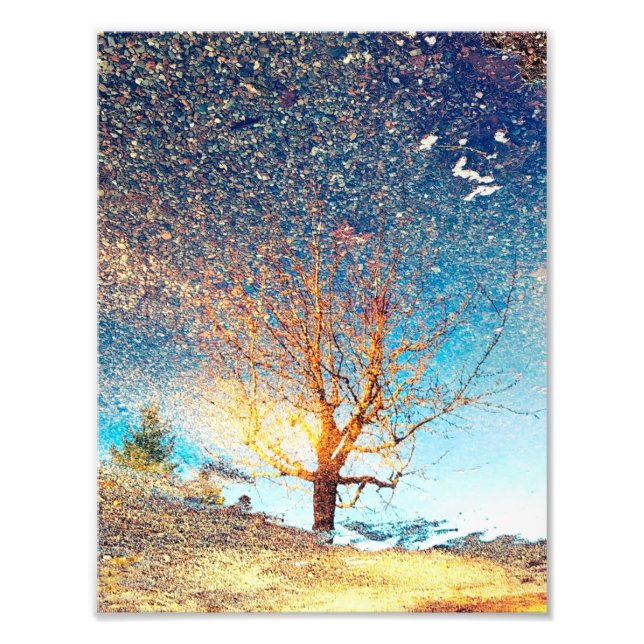 8.5 "x11"-Foto drucken | | Cherry Tree Puddle Fotodruck (Vorne)