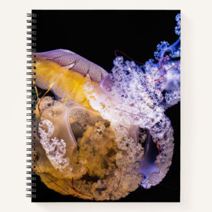 8,5" x 11" Spiralblock Notizbuch