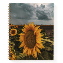 8.5x11-Notebook