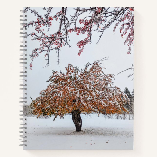 8.5x11-Notebook Notizbuch (Vorderseite)