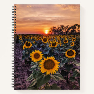 8.5x11-Notebook Notizbuch