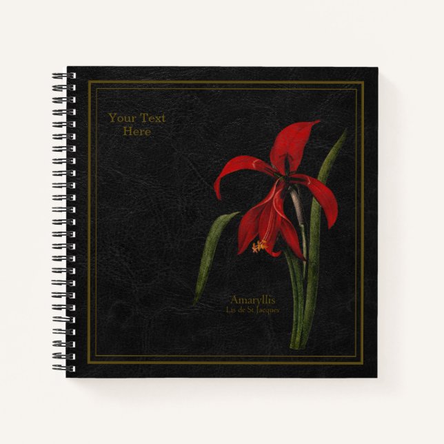 8,5x8,5" Amaryllis oder Lis de St Jacques Blac Sch Notizbuch (Vorderseite)
