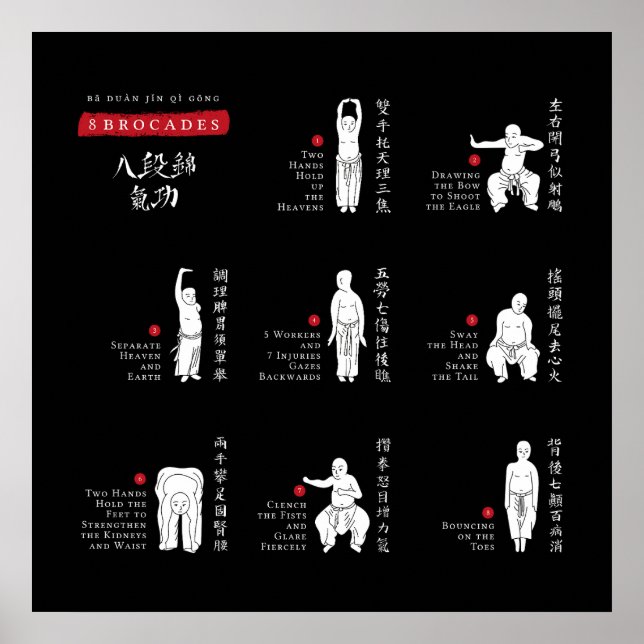 8 Brocades Ba Duan Jin QiGong Poster (Vorne)