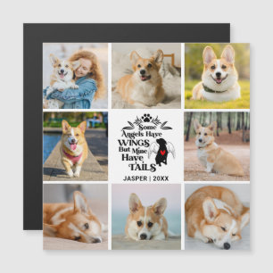 8 Erinnerung an die Magnetkarte für den Hundeschut