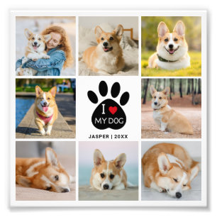 8 Foto-Collage Ich liebe meinen Hund Fotovergrößer Fotodruck