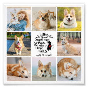 8 Foto Collage Pet Dog Loss Foto Erweiterung