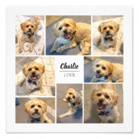 8 FotoCollage Personalisiertes Foto drucken