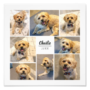 8 FotoCollage Personalisiertes Foto drucken