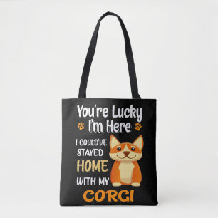 8 Ich hätte Zuhause mit Corgi Bleibe können