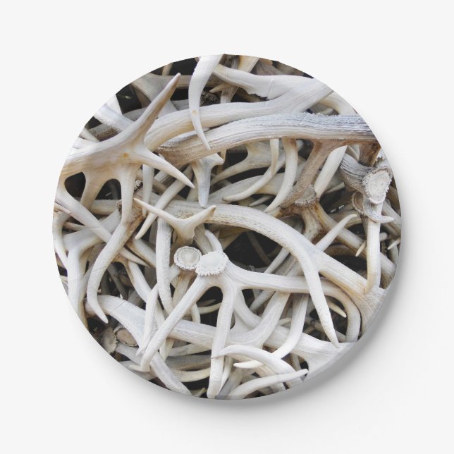 8 Papierplatten Elch Antler Pappteller (Vorderseite)