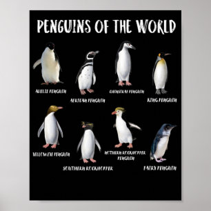 8 Rarest Pinguine of the World Funny Animals Poster