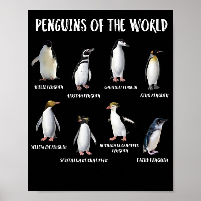 8 Rarest Pinguine of the World Funny Animals Poster (Vorne)
