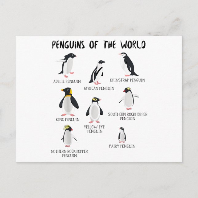 8 Rarest Pinguins of the World - Funny Animals Ankündigungspostkarte (Vorderseite)