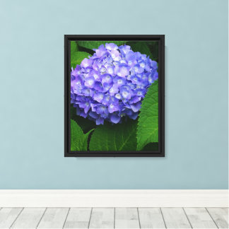 8"x10" Lavendel-Hortensie Leinwanddruck