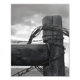 8x10 Druck - Wood & the Wire