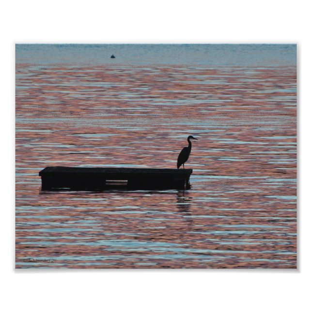 8X10 Great Blue Heron Silouhette Fotodruck (Vorne)