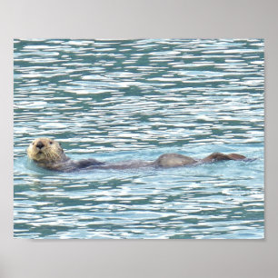 8x10 Plakatpapier (Matte) des Otters Poster