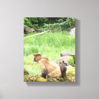8x10 Starke Canvas Print mit Grizzly Bär & cub