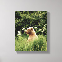 8x10 Starke Canvas Print mit Grizzlybär