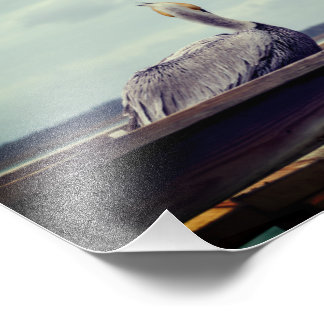 8x12 Foto - "Chillin' Pelican" St. Augustine, FL