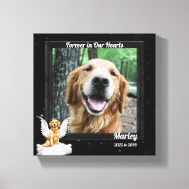 8x8 Golden Retreiver Angel Dog Pet Memorial Foto Leinwanddruck